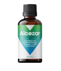 Alcozar