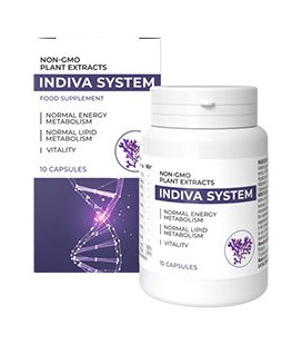 InDiva System